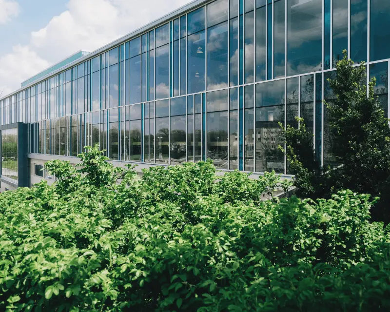 kiem toan nang luong