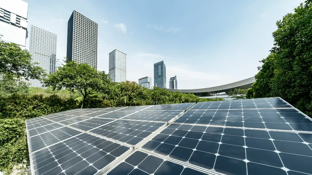 lap-bao-cao-giam-nhe-phat-thai-knk